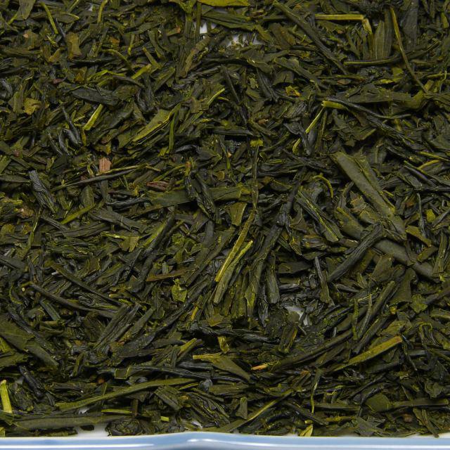 Shizuoka BANCHA (Yabukita)